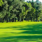 golf-max-environment-3